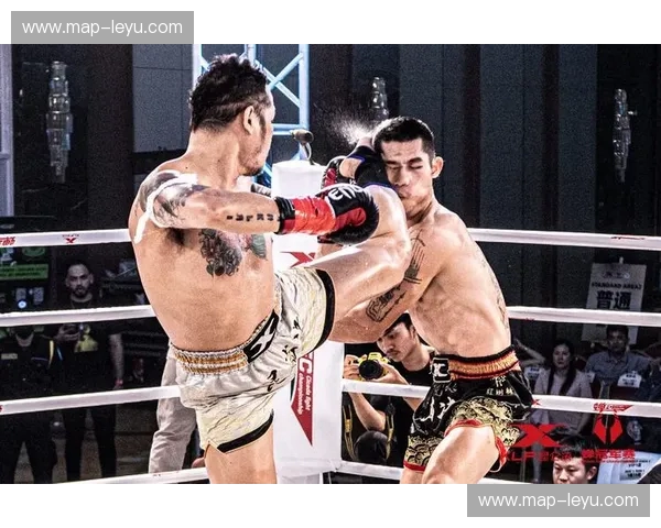 传奇的碰撞：雅桑克莱与安迪，谁是泰拳的王者？